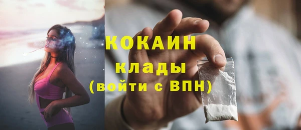 кокс Арсеньев