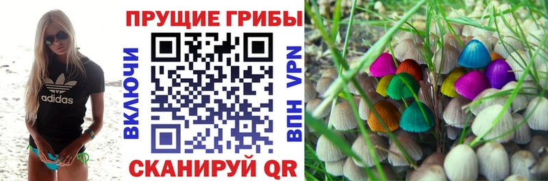 закладки Мышкин Галлюциногенные грибы Magic Shrooms